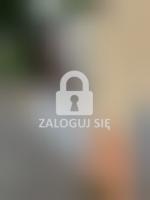 Płot przylegający do budynku przy al. Powstańców Wielkopolskich 71 z śladami po pociskach. Fot. Michał Zimny, foto 1.jpg