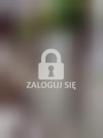 Płot przylegający do budynku przy al. Powstańców Wielkopolskich 71 z śladami po pociskach. Fot. Michał Zimny, foto 2.jpg