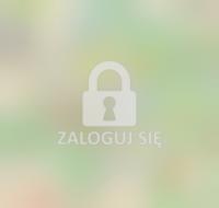 Plan miasta 1988 jpg.jpg