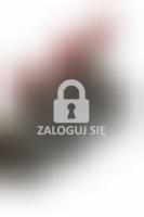 Zabytkowe żeliwne żelazko, foto 4.jpeg