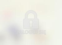 Strażnik śrubunków gazowych, fot. Robert Szmytkowski, rewers.jpg