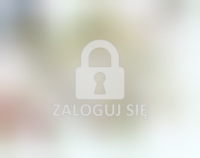 Palatinatus Posnanensis In Maiori Polonia Primarii Nova Delineatio, źródło; Geheugen.Delpher.nl via Wikimedia Commons.PNG