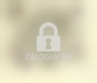 Palatinatus Posnanensis In Maiori Polonia Primarii Nova Delineatio, źródło; polona_pl.jpg