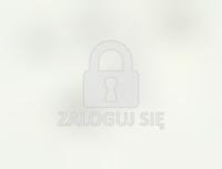 Piła 93.06.28. Makulaturowy dziadek. Fot. Tomasz Rogalski, rewers.jpg